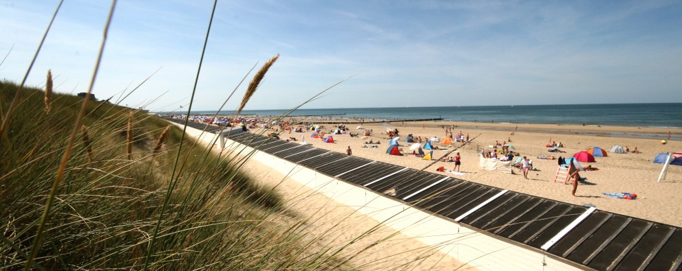 4. Strand.jpg
