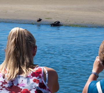 Frisia Rondvaarten 3