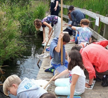 Westhove - Terra Maris.jpg